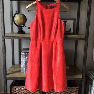 The Limited Sleeveless Fit And Flare Dress